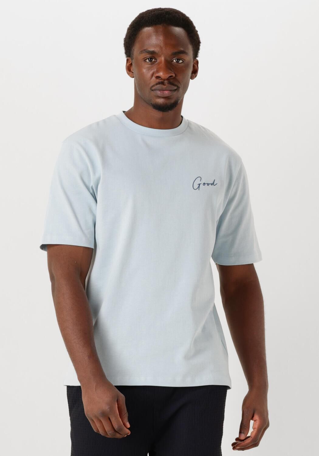 Lichtblauwe THE GOODPEOPLE T-shirt TPHOTO - large