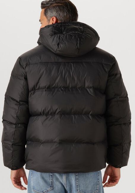 Zwarte TOMMY JEANS Gewatteerde jas TJM ESSENTIAL DOWN JACKET - large