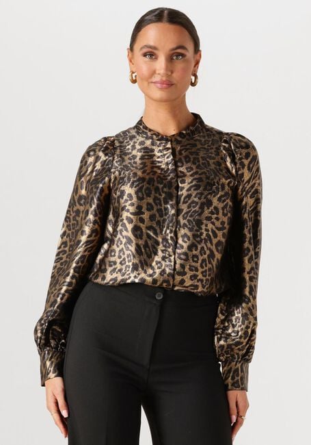 Bruine FREEBIRD  BORELLA - large