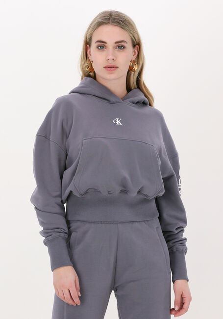 CALVIN KLEIN Chandail BACK TWO TONE MONOGRAM HOODIE en gris - large