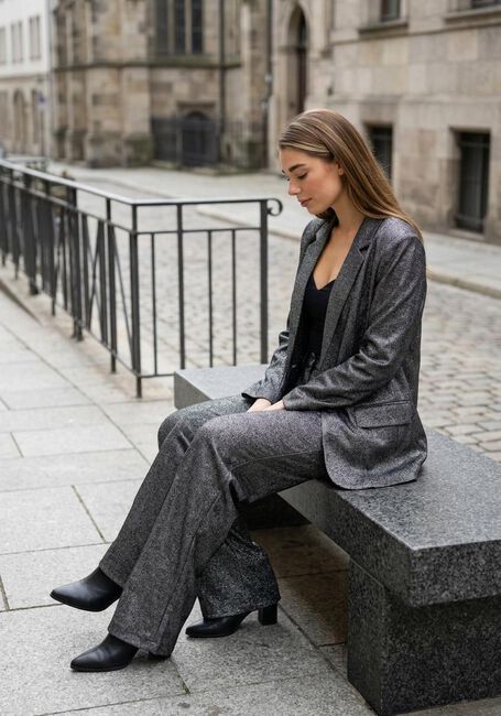 IBANA Blazer JOLSY en argent - large
