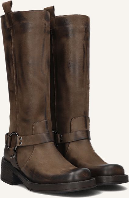 Bruine NOTRE-V  FRY01 Bruine NOTRE-V  FRY01 - large