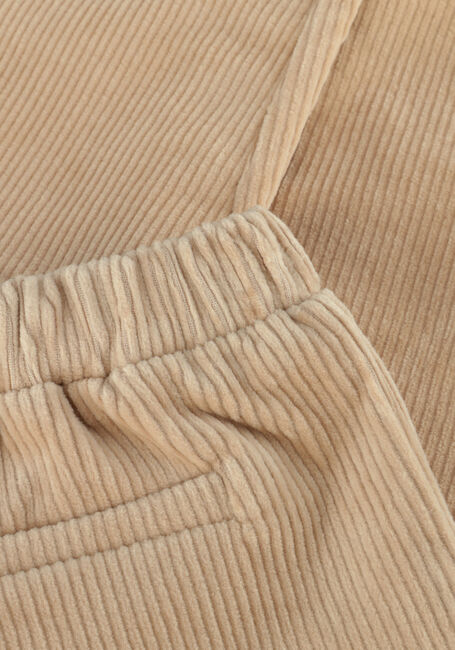 Beige Z8 Chino DINAND - large