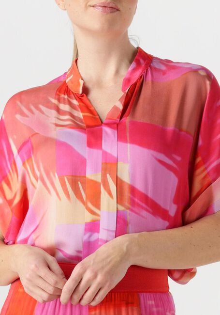 Fuchsia CAROLINE BISS  1688 - large