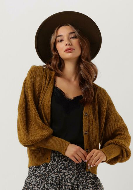 Gele FREEBIRD Trui LAVIE CARDIGAN - large