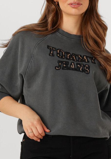 Donkergrijze TOMMY JEANS Trui TJW BXY LEOPARD VARSITY CREW - large