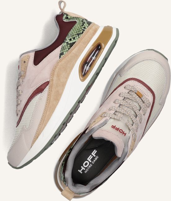 Taupe THE HOFF BRAND Sneakers NOTRE DAME Taupe THE HOFF BRAND Sneakers NOTRE DAME - large