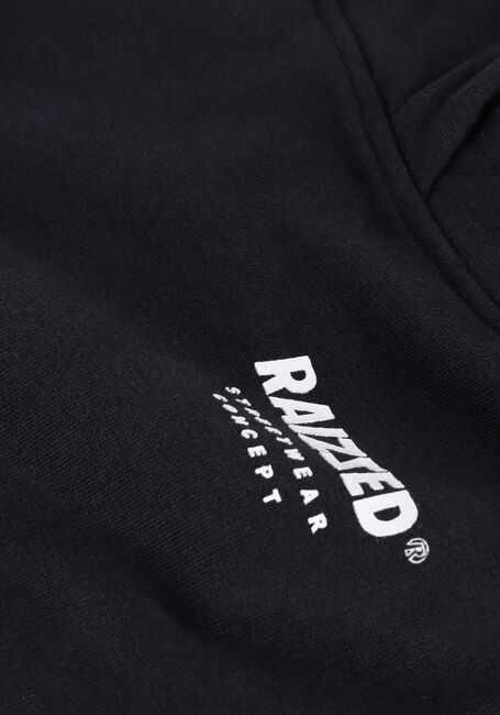 RAIZZED Chandail WARREN en noir - large