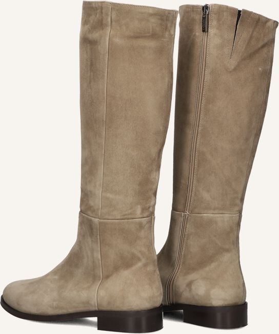 Taupe NOTRE-V  3496 Taupe NOTRE-V  3496 - large