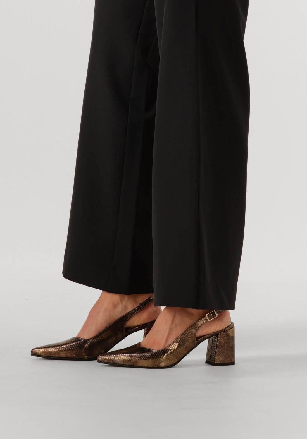 NOTRE-V  2315C - large