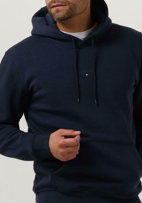 TOMMY JEANS Chandail REG TONAL LINEAR LOGO HOODIE Bleu foncé - large