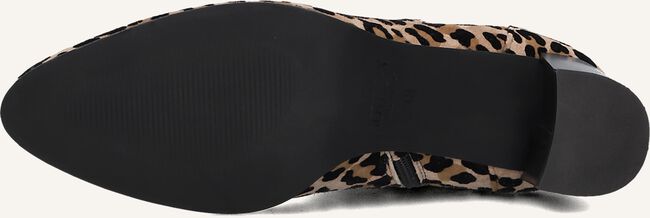 NOTRE-V 8543 NOTRE-V 8543 - large