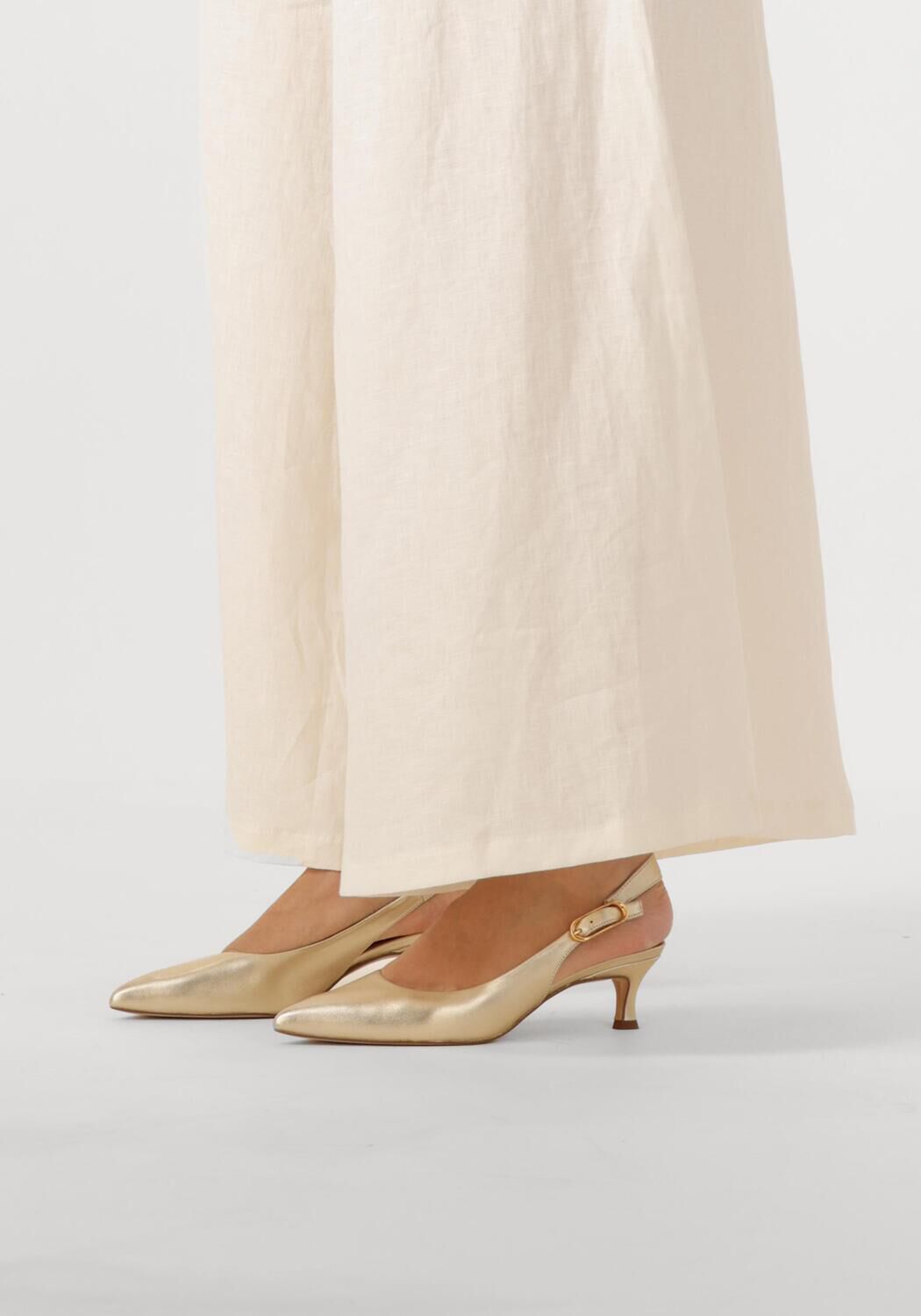 Gouden UNISA  IBON - large