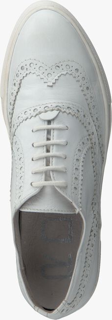 ROBERTO D'ANGELO Chaussures à lacets VERONA en blanc - large