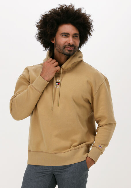 TOMMY JEANS Chandail TJM TINY TOMMY CIRCULAR HOODIE Kaki - large