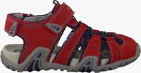 red GEOX shoe B5224A  - medium
