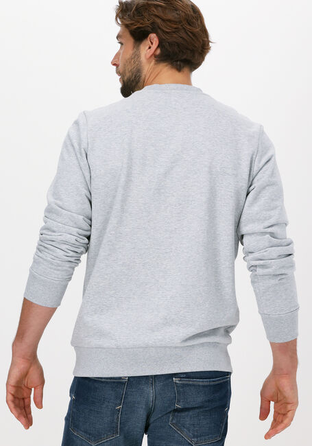 Grijze DIESEL Sweater S-GIRK-K22 - large