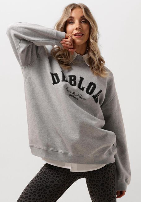 DEBLON SPORTS Chandail PUCK SWEATER en gris - large