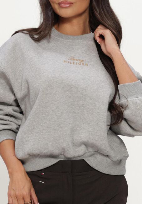 TOMMY HILFIGER Chandail GOLD SCRIPT FLEECE RLX C-NK SWT en gris - large