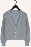 Blauwe BY-BAR Vest KATY CARDIGAN Blauwe BY-BAR Vest KATY CARDIGAN - medium
