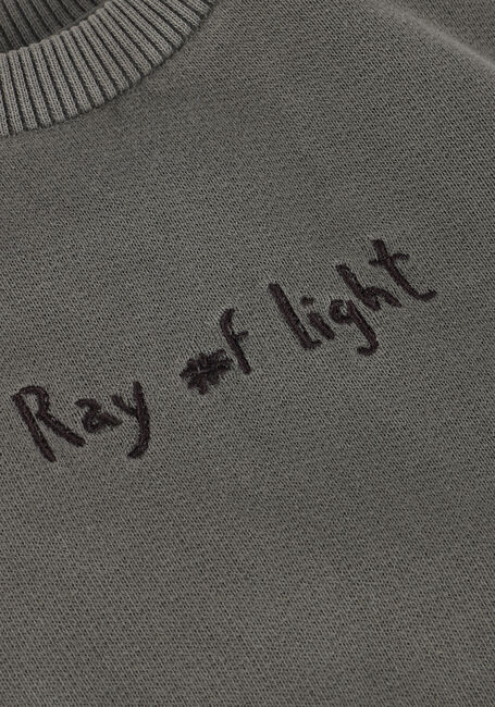 Grijze PLAY UP Sweater FLEECE SWEATER 2 Grijze PLAY UP Sweater FLEECE SWEATER 2 - large