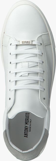Witte ANTONY MORATO Sneakers SNEAKER LOW - large