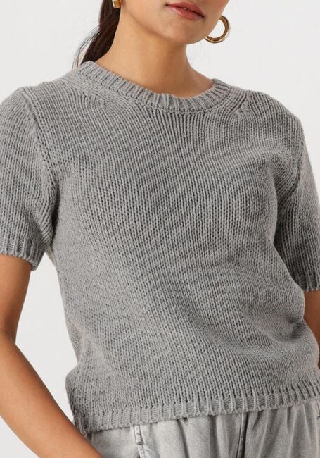 Grijze WITHBLACK Tops & T-shirts WBLELINORE SS KNIT TEE - large