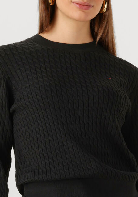 Zwarte TOMMY HILFIGER Trui CO CABLE FINE GG C-NK LS SWT - large