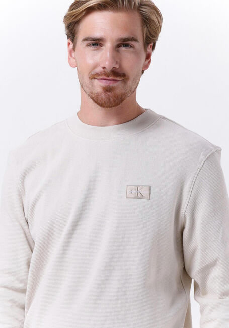 Beige CALVIN KLEIN Trui SHRUNKEN BADGE LS WAFFLE TEE - large