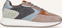 THE HOFF BRAND Baskets basses BUCKINGHAM en gris THE HOFF BRAND Baskets basses BUCKINGHAM en gris - medium