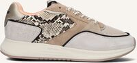 Beige THE HOFF BRAND Sneakers IPANEMA - medium