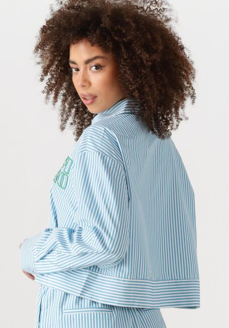 Blauwe REFINED DEPARTMENT  ROSEMARY - large