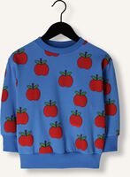 Blauwe CARLIJNQ Sweater APPLE-SWEATER (NEW STYLE) Blauwe CARLIJNQ Sweater APPLE-SWEATER (NEW STYLE) - medium
