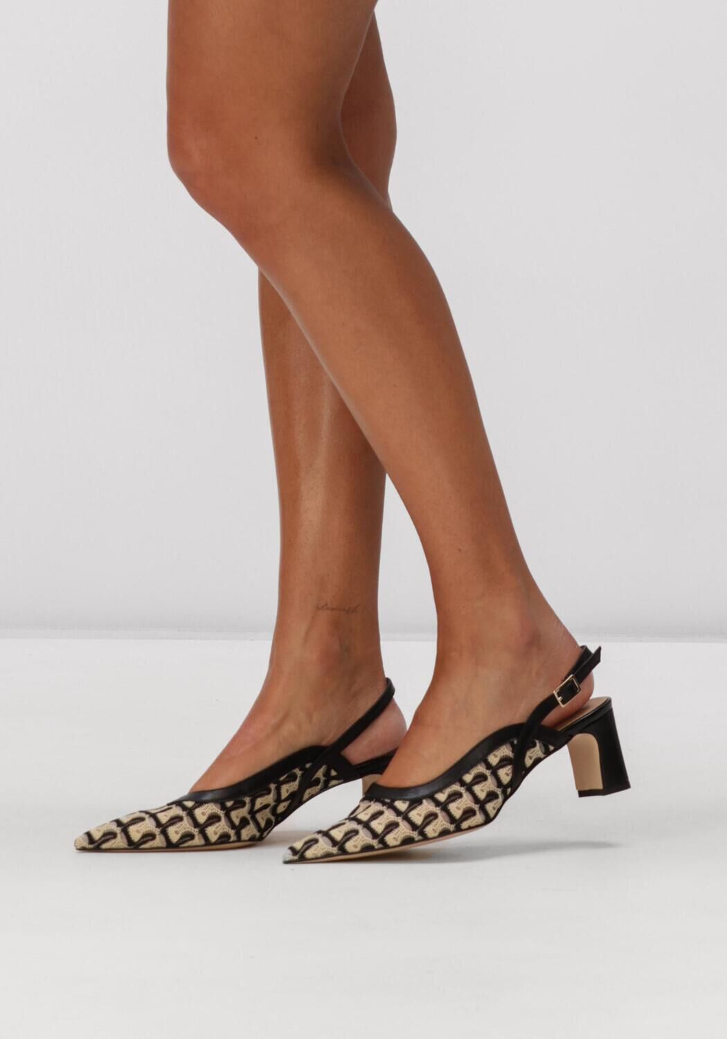 Witte NOTRE-V  77260 - large