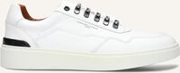 Witte STEFANO LAURAN Sneakers LJ2502 - medium