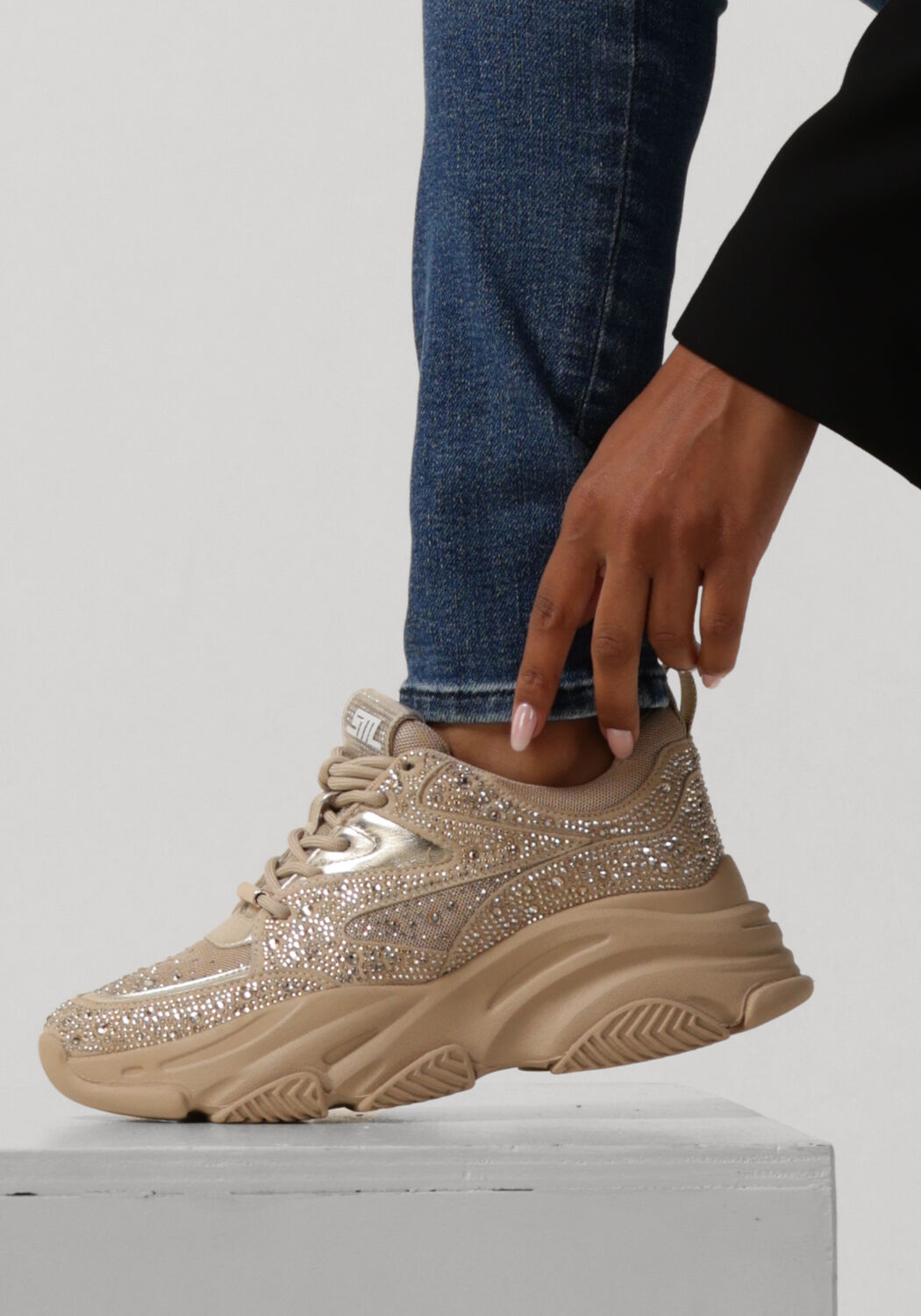 STEVE MADDEN Baskets basses PRIVY en beige - large