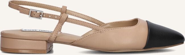 Bruine STEVE MADDEN  BELINDA Bruine STEVE MADDEN  BELINDA - large