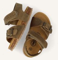 Groene DEVELAB Sandalen 48305 Groene DEVELAB Sandalen 48305 - medium