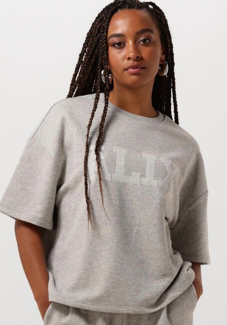 ALIX THE LABEL Chandail LADIES KNITTED SEQUINCE ALIX SWEAT T-SHIRT Gris clair - large