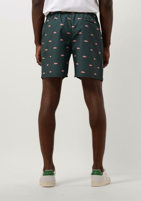 Groene SHIWI Zwembroeken MEN SWIMSHORT CLOWNFISH - large