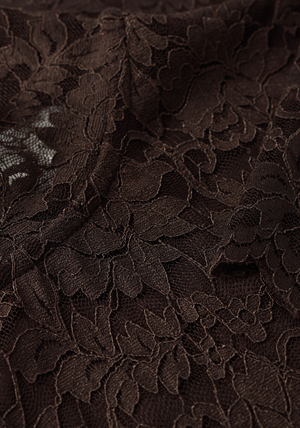 NEO NOIR Mini robe LIZETTE LACEFLOWER DRESS en marron - large