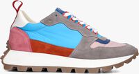 Blauwe GOOSECRAFT Lage sneakers MALLARD 1 - medium