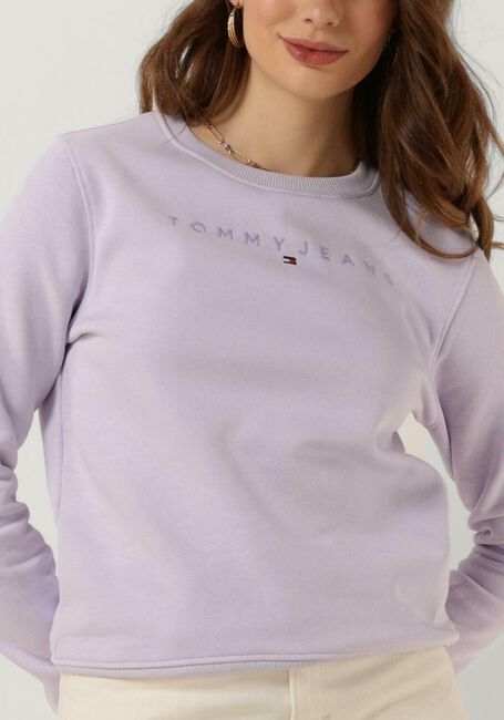 Lila TOMMY JEANS Trui TJW REG TONAL LINEAR CREW - large
