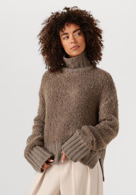 Bruine INWEAR Trui GUOIW HIGHNECK - large