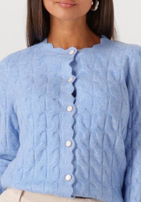 Lichtblauwe Y.A.S. Trui YASBUBERA LS KNIT CARDIGAN - large