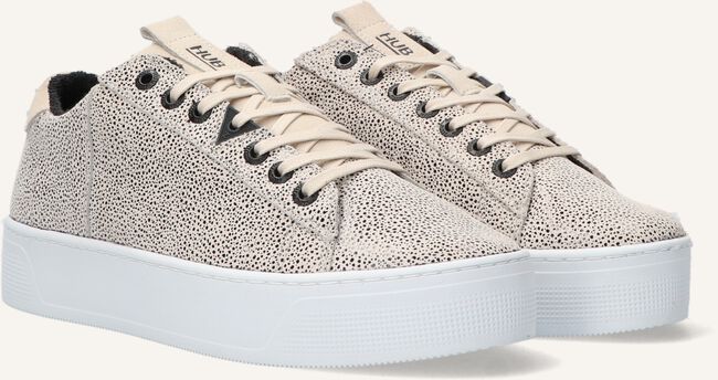 Beige HUB Sneakers HOOK-W PLATEAU DS Beige HUB Sneakers HOOK-W PLATEAU DS - large