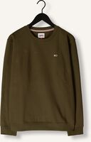 TOMMY JEANS Chandail TJM REGULAR FLEECE C NECK en vert TOMMY JEANS Chandail TJM REGULAR FLEECE C NECK en vert - medium