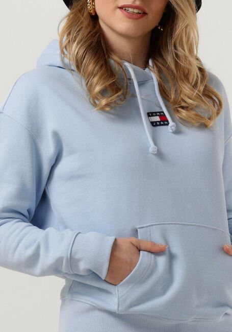 TOMMY JEANS Chandail TJW TOMMY CENTER BADGE HOODIE Bleu clair - large