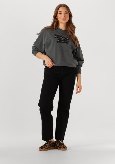 TOMMY JEANS Pull TJW BXY LEOPARD VARSITY CREW Gris foncé - large