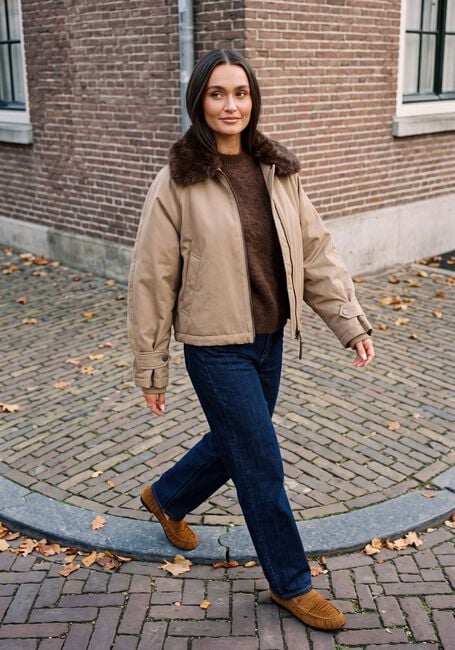 Bruine BEAUMONT Trui PETRONA PULLOVER - large